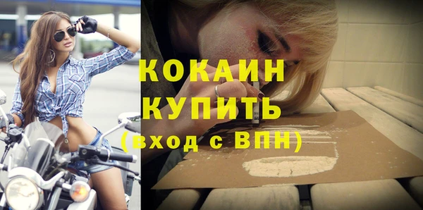прущие грибы Магадан