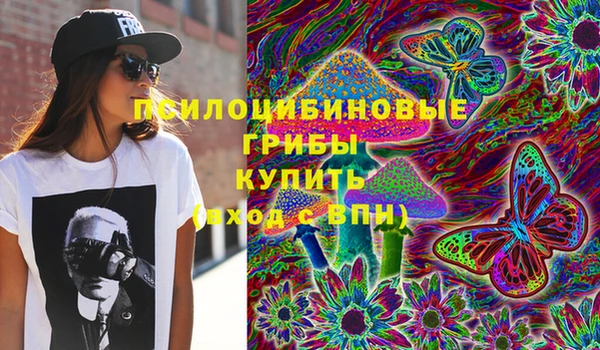прущие грибы Магадан