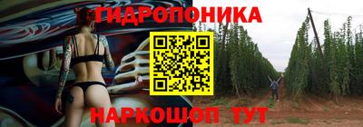 apvp Беслан