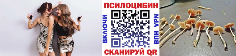 Псилоцибиновые грибы Psilocybine cubensis блэк спрут онион Вичуга