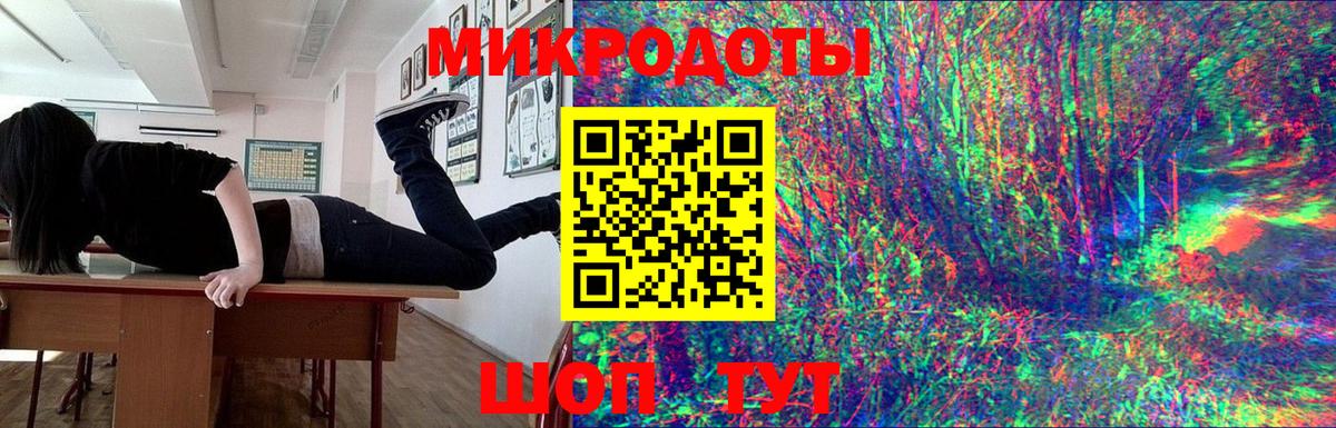 Псилоцибиновые грибы Cubensis  Вичуга 