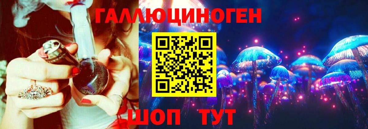 Галлюциногенные грибы прущие грибы  Вход с VPN  Вичуга 